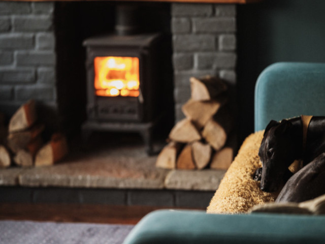 A dog sleeping on a couch and staying warm near a wood stove